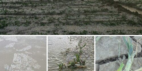 c_fb815536e1bc7ffe595d11389f07a37e-1