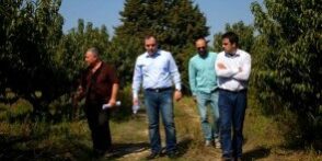 1354ac87eba571bbb1d5a4f88bd1ff27_501