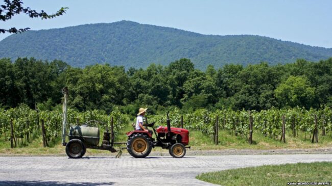 iB164CBB4-584B-42D6-AB7B-705CC8E875A6_w1023_r1_s