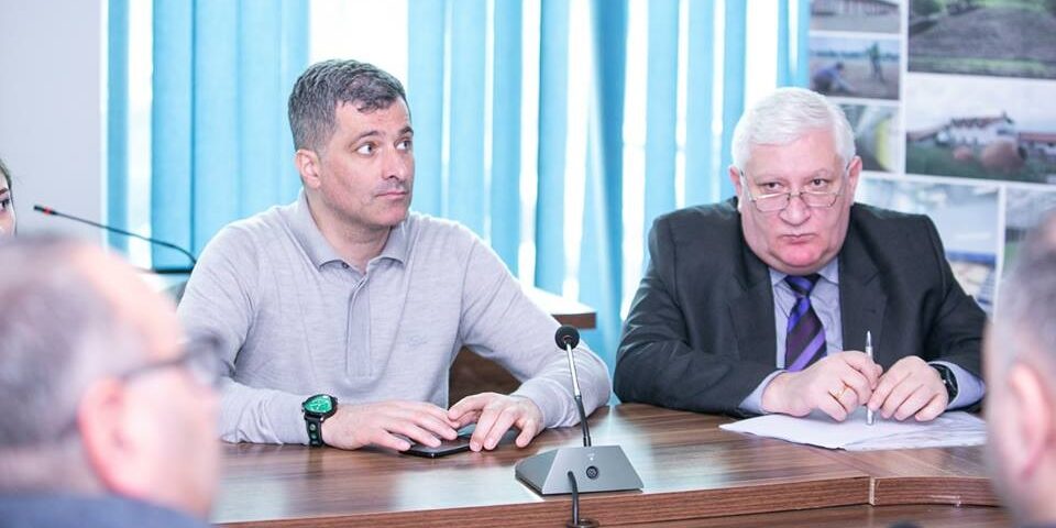 56781075_1272997456182053_5305344973560872960_n-1