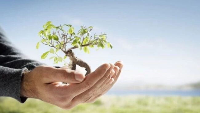 1agrodazghveva_w_h-1