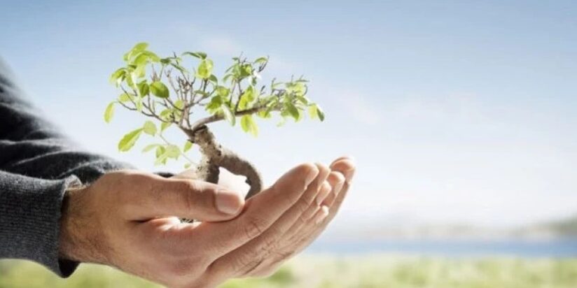 1agrodazghveva_w_h-1